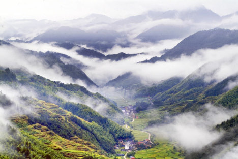 再见汪峰，新时代的音乐浪潮与杨子的爱情传奇